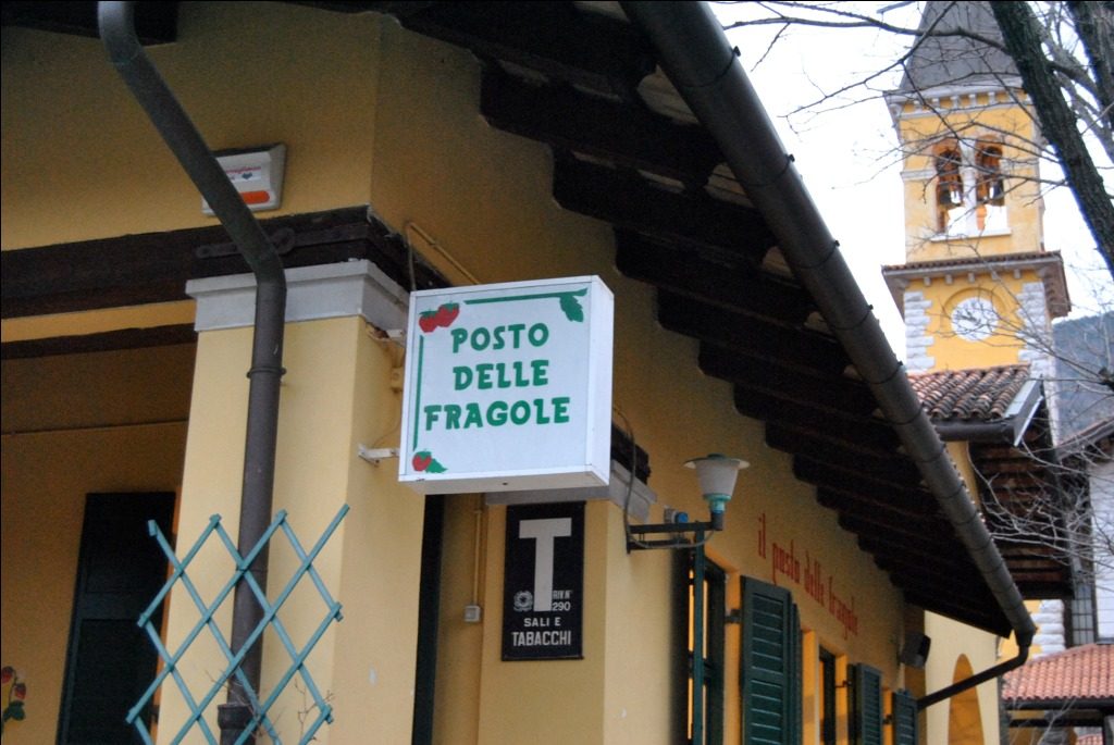 il posto delle fragole.JPG